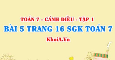 Bài 5 trang 16 SGK Toán 7 tập 1 Cánh Diều